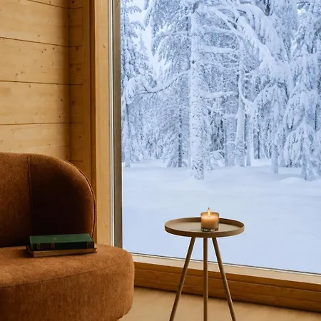 Ainur Saariselkä