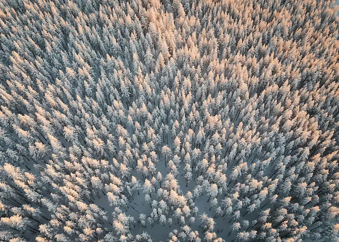 Villa Ainur Saariselkä